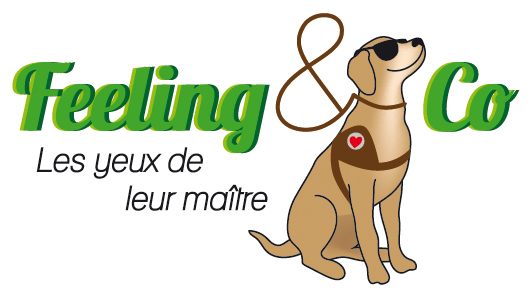 Logo FEELING & CO
