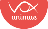Logo VOX ANIMAE